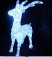 IMD-REINDEER-01